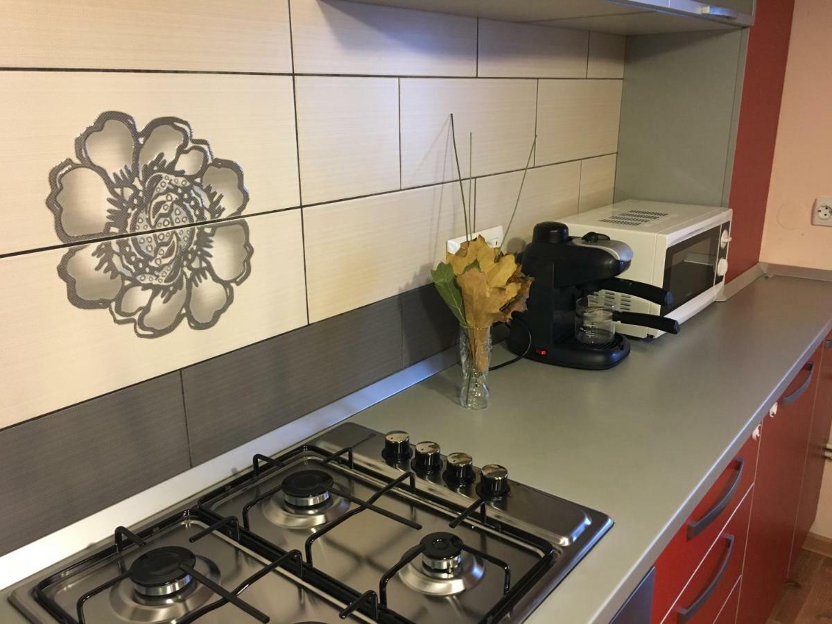 Апартаменты Apartament Antonia Тыргу-Окна Экстерьер фото